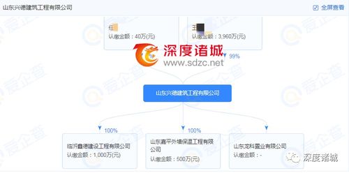 官方處罰公告的嚴(yán)謹(jǐn)性與企業(yè)的沉默 房地產(chǎn)信息咨詢行業(yè)的監(jiān)管反思